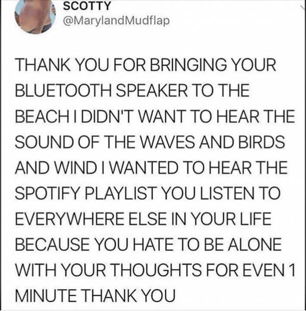 Sarcastic social media post thanking someone for playing loud music at the beach, implying it disrupted the natural sounds