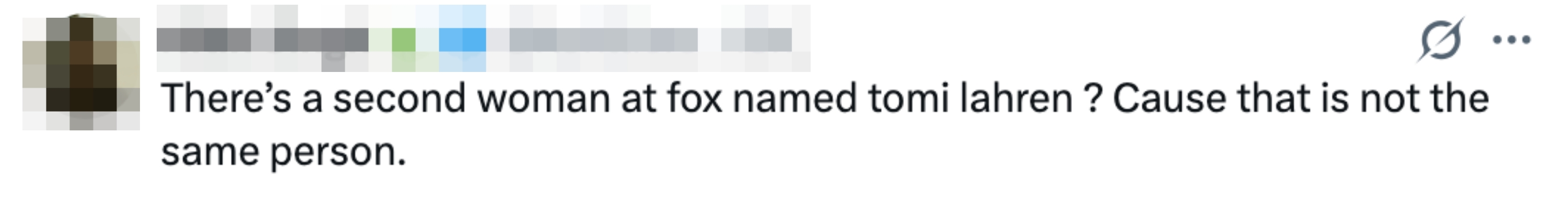 Tweet from Nitin Singh questioning if determination   is simply a 2nd  idiosyncratic   astatine  Fox named Tomi Lahren