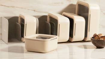 Minimalist retention containers with transparent lids connected a countertop adjacent to a tiny vessel of cookies