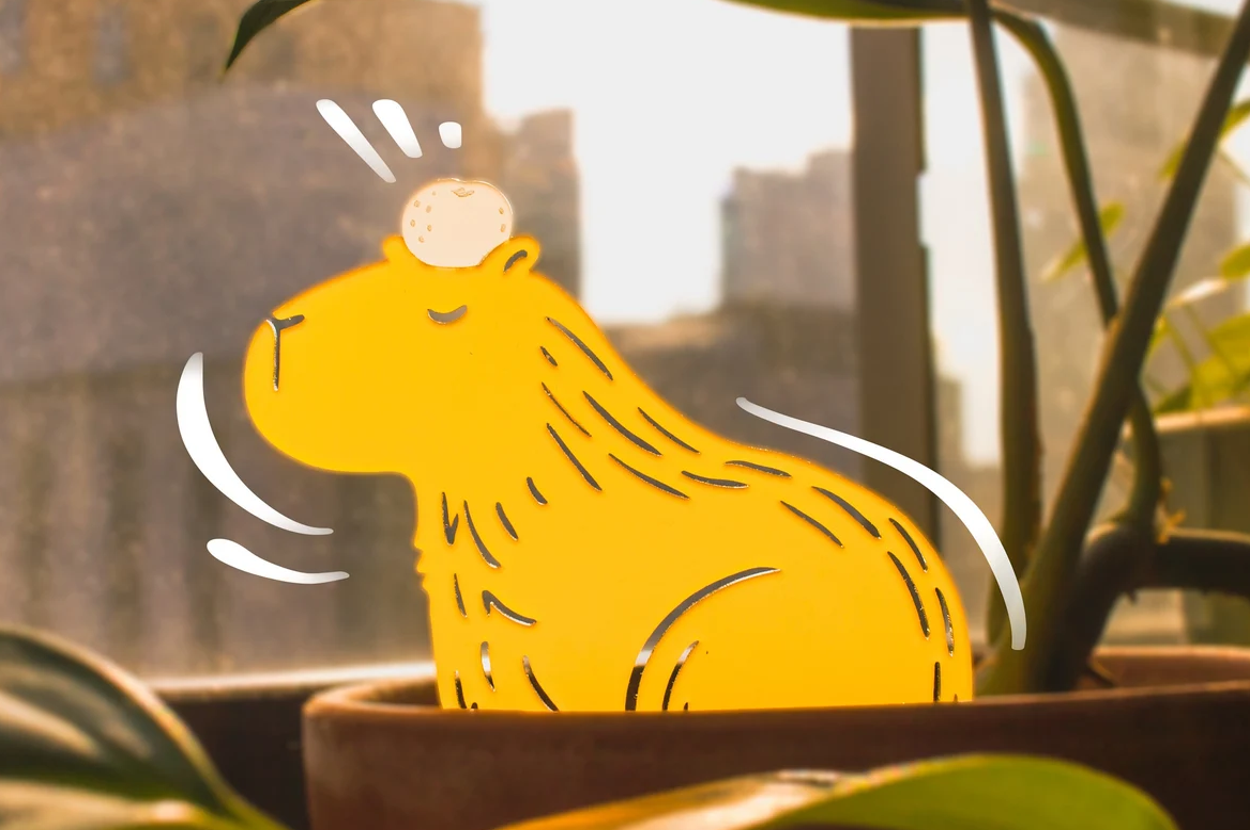 Just 33 Products You'll Be Excited To Add To Your Cart