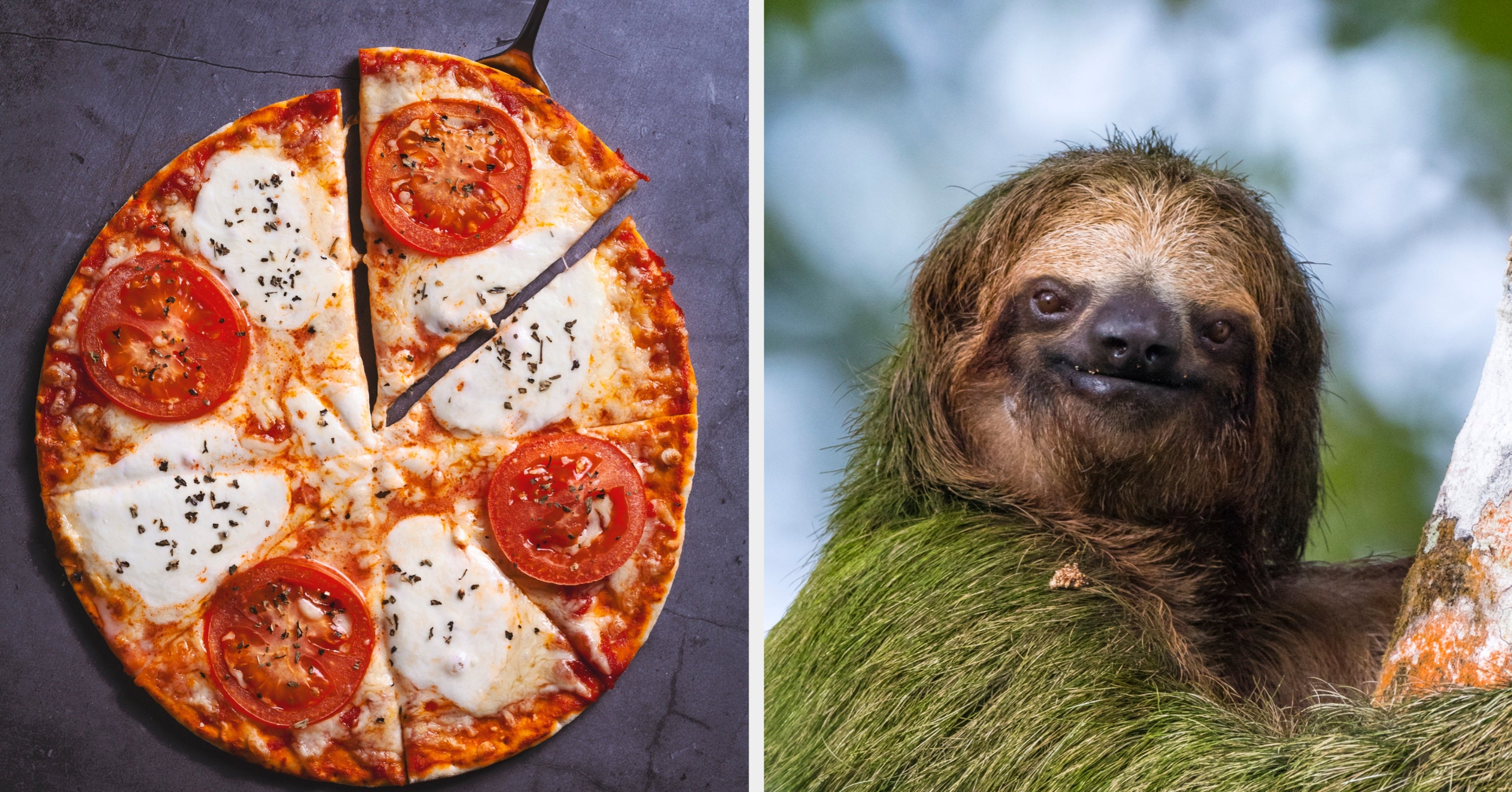 Eat A 10-Course Meal And I'll Reveal Your True, Inner Animal...