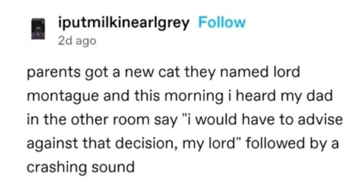 40 Memes That Made Me Laugh So Hard My Neighbors Probably Think I'm Unwell