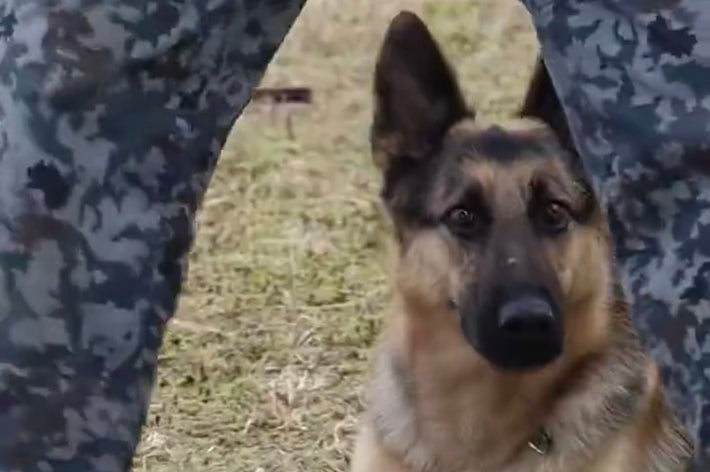 足の隙間から顔を覗かせるハンズ号 / 航空自衛隊 ・小松基地のXアカウント（@JasdfKomatsu）より