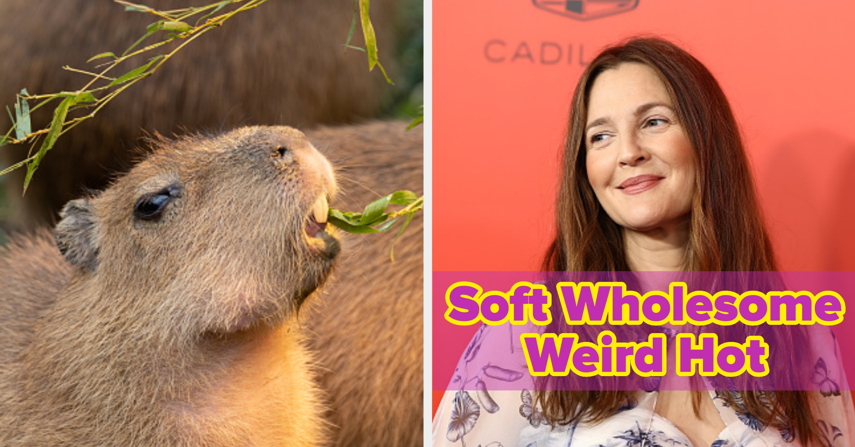 Pick Some Imaginary Pets And We'll Tell You What Kind Of Weird Unconventional Attractiveness You Possess