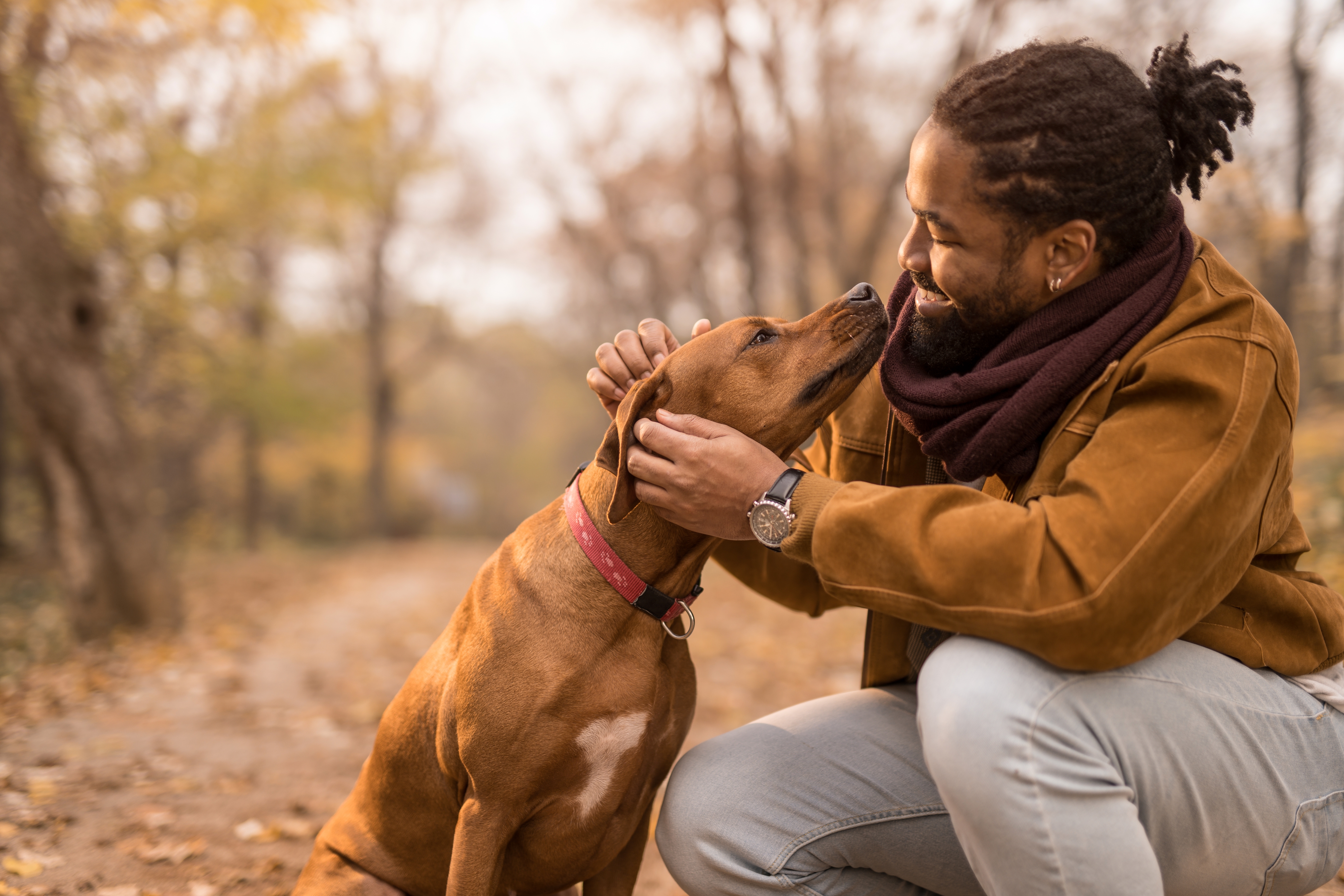 A idiosyncratic affectionately interacts with a canine connected a wood path, showcasing a lukewarm infinitesimal of companionship