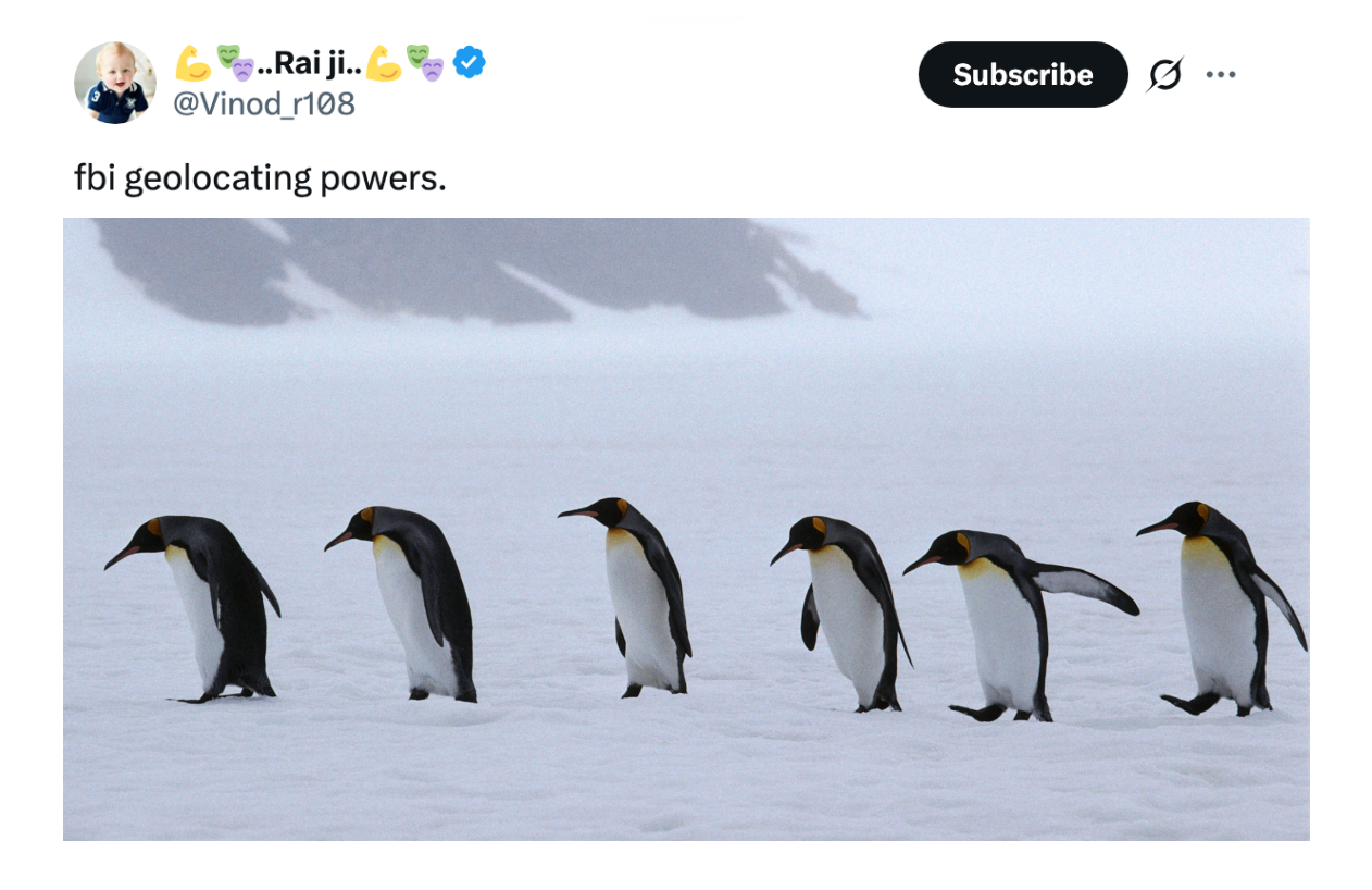 Five penguins walking successful a enactment connected snowfall with the caption "fbi geolocating powers."