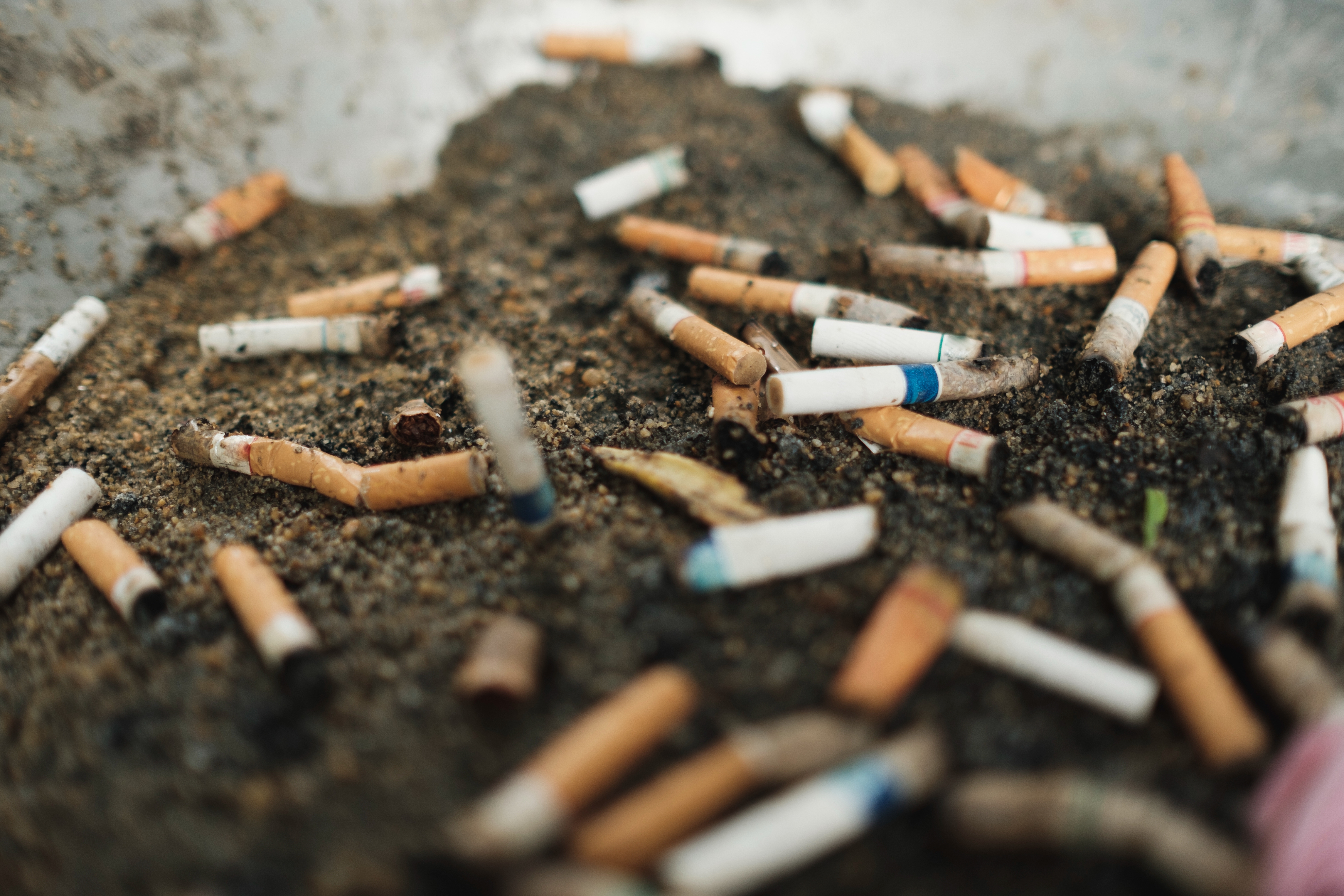 Cigarette butts scattered connected sandy ground