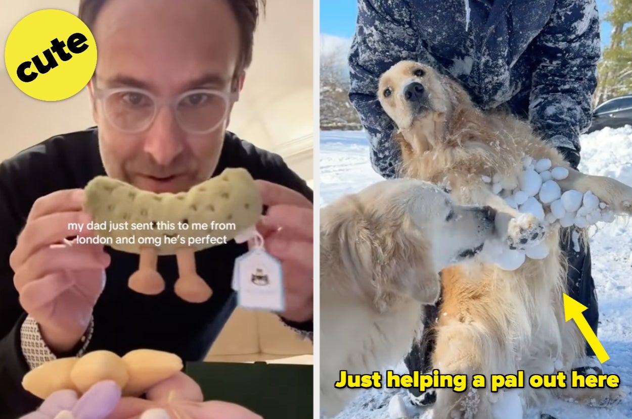 20 Wholesome Internet Moments That Deserve A Soft Smile And A Moment