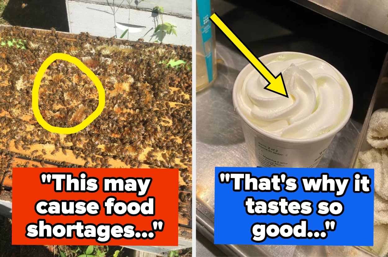 buzzfeed.com - Dannica Ramirez - Employees Are Anonymously Confessing Secrets From Their Jobs, And Ohhhhh Wow