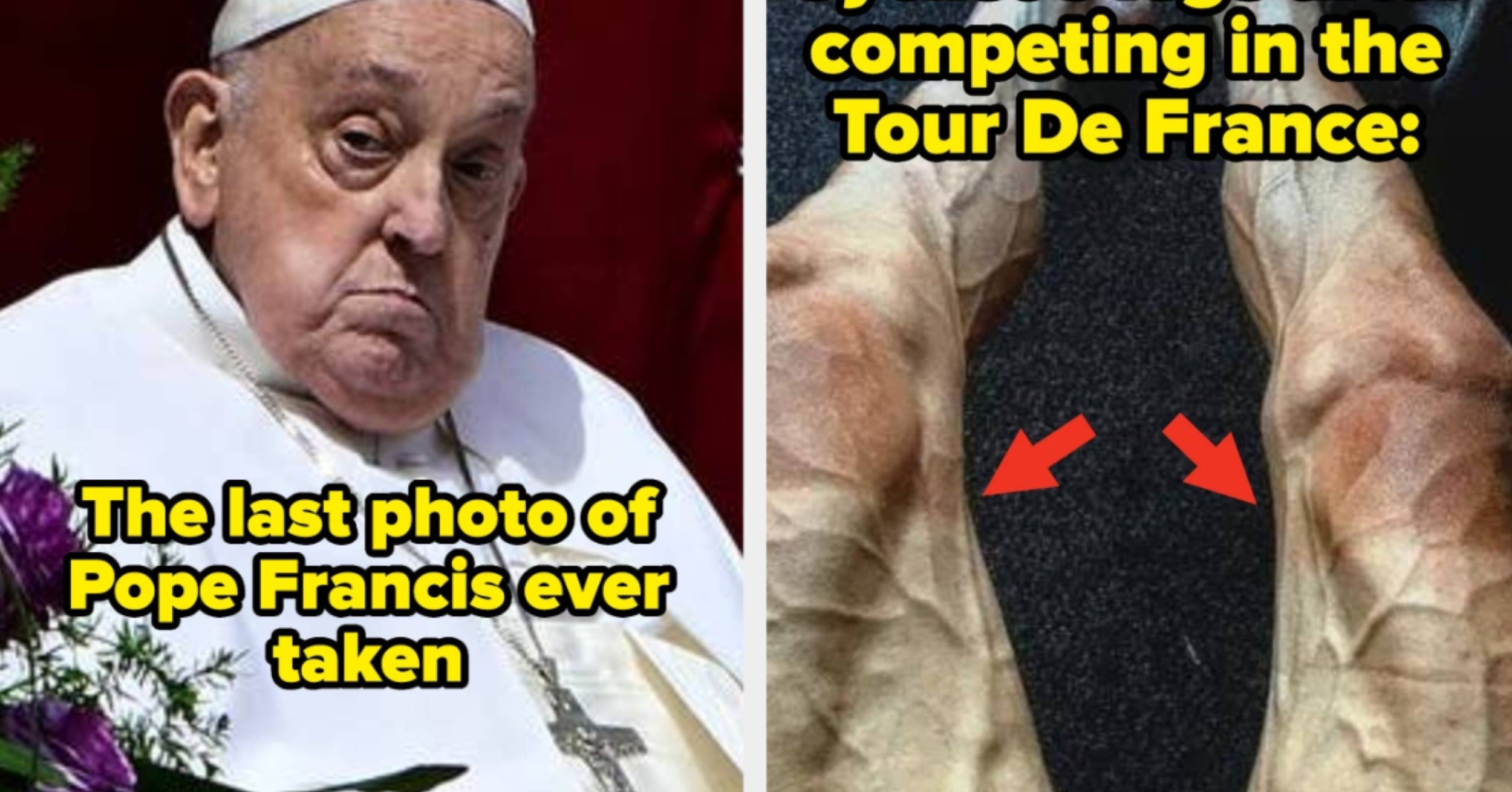 100 Absolutely Mind-Blowing Pictures That Completely, Totally, And Utterly Shattered My Brain This Year And Left Me Staring At My Screen Like An Idiot