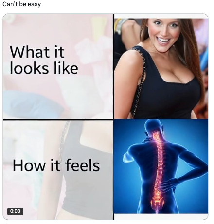 Split meme showing a smiling idiosyncratic with substance "What it looks like" and an representation of a glowing spine with substance "How it feels."