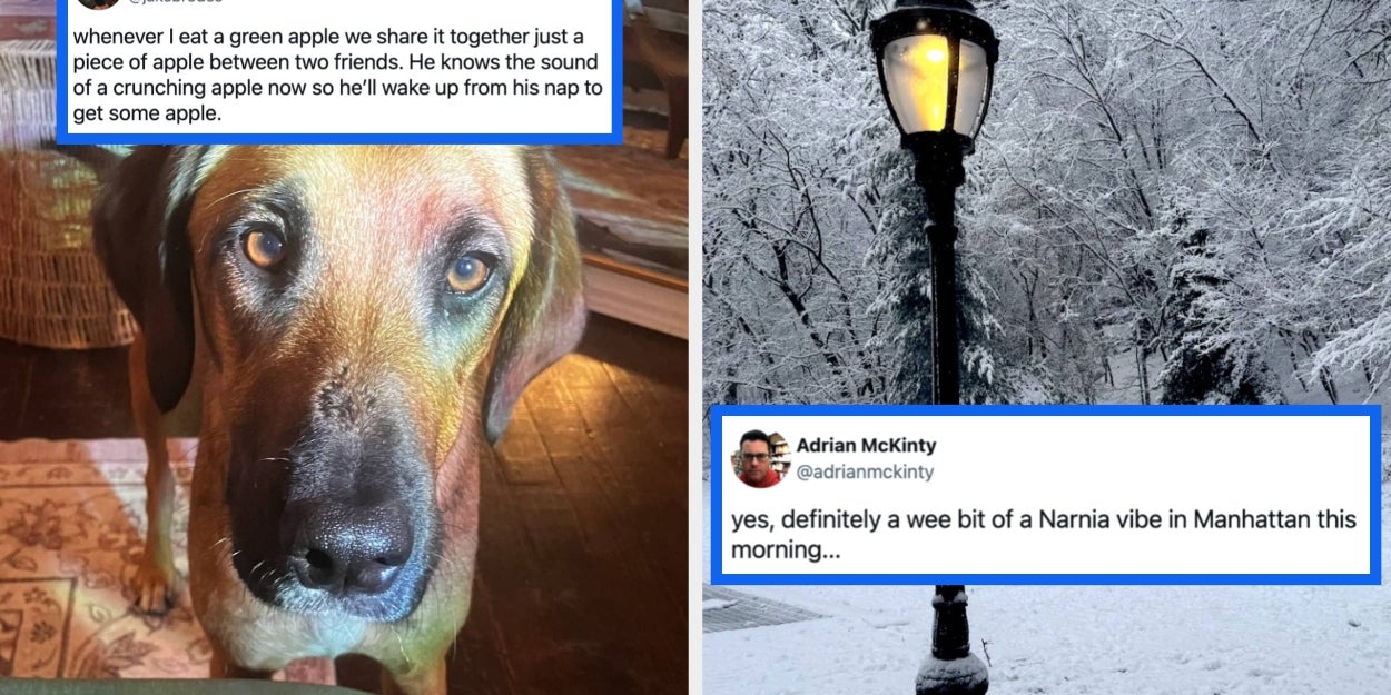 27 Cheerful, Joyous, Wholesome Posts From This Week To Get You In The Holiday Spirit