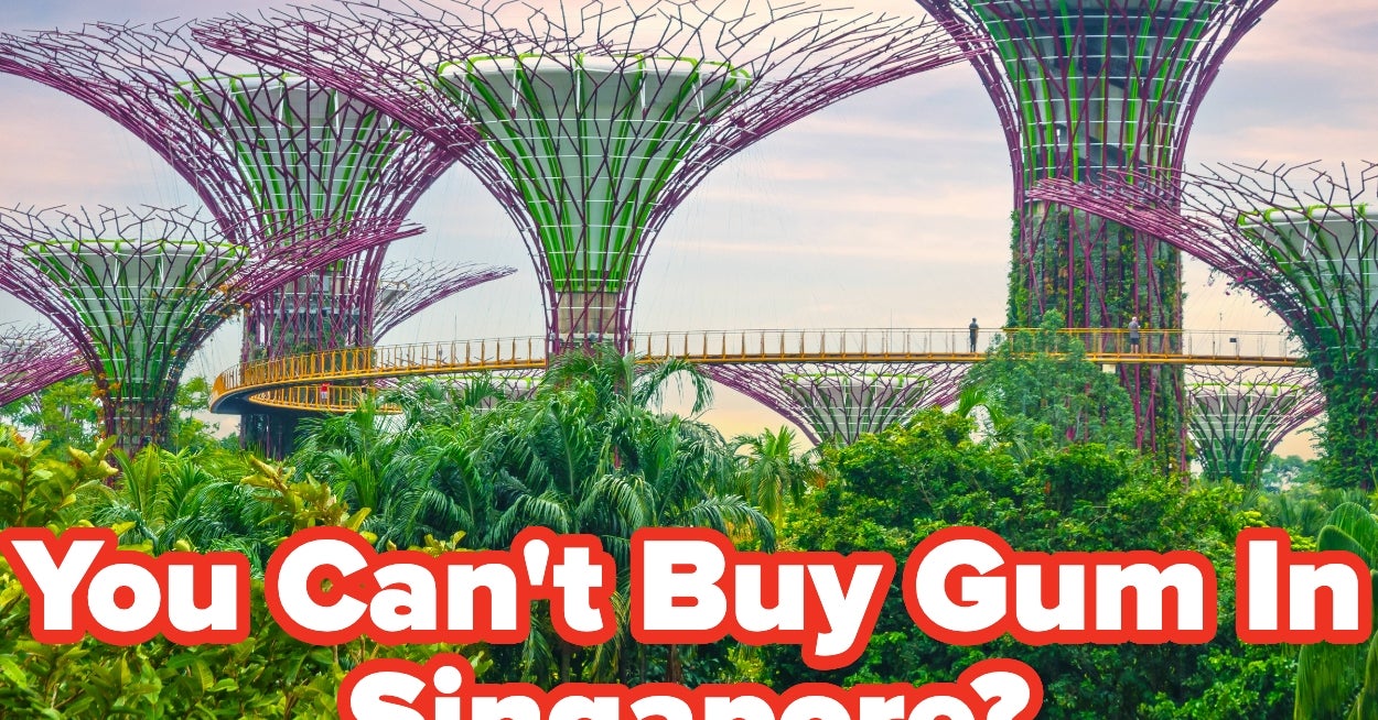 If You Get Every Question Right, You Definitely Know Your Food Law!