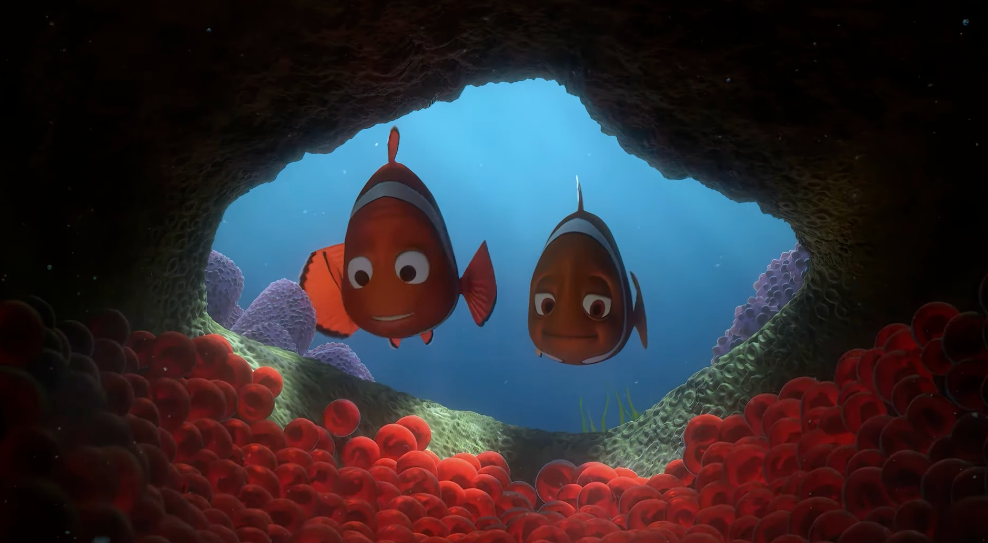 Two animated clownfish look   retired  from their oversea  anemone location  underwater, surrounded by coral