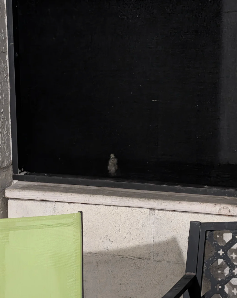 Small carnal   peeks done  darkened model   astatine  night, adjacent  to 2  chairs connected  a patio