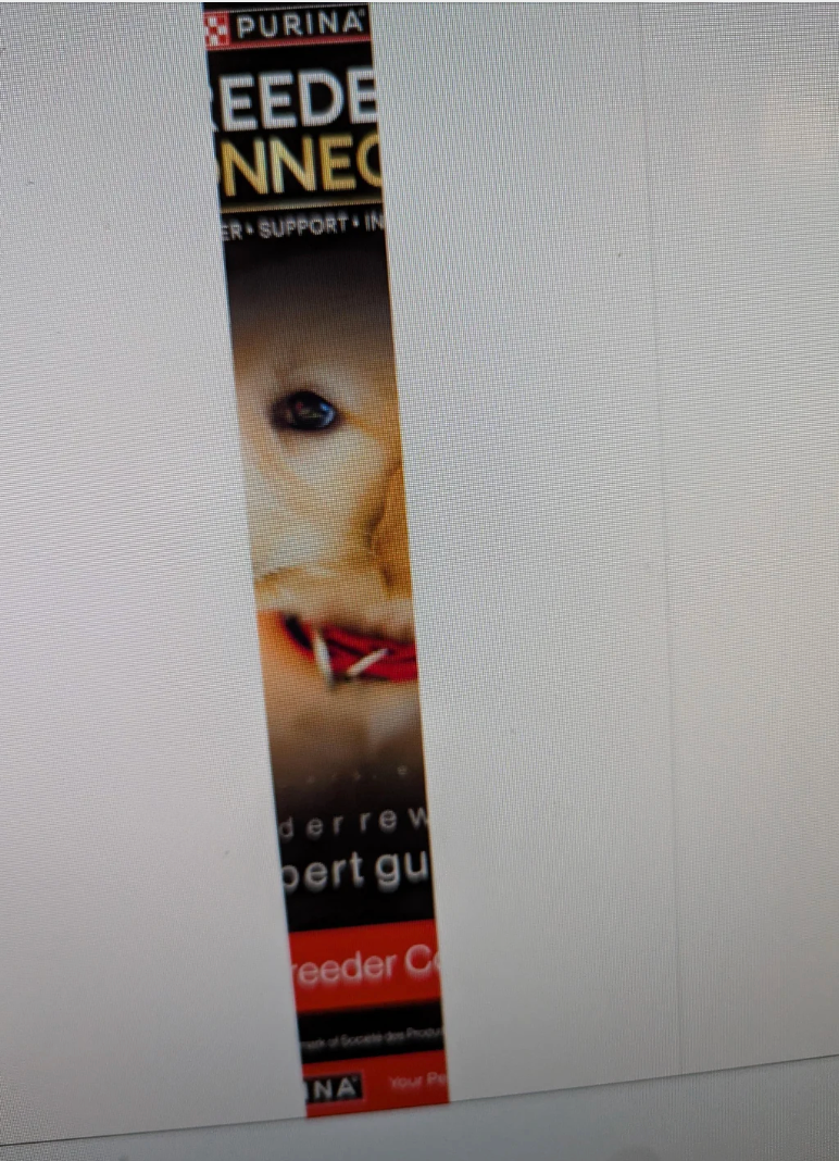 A partially disposable   advertisement  featuring a canine  wearing a collar, promoting Purina Breeder Connect for breeder rewards and adept  guides