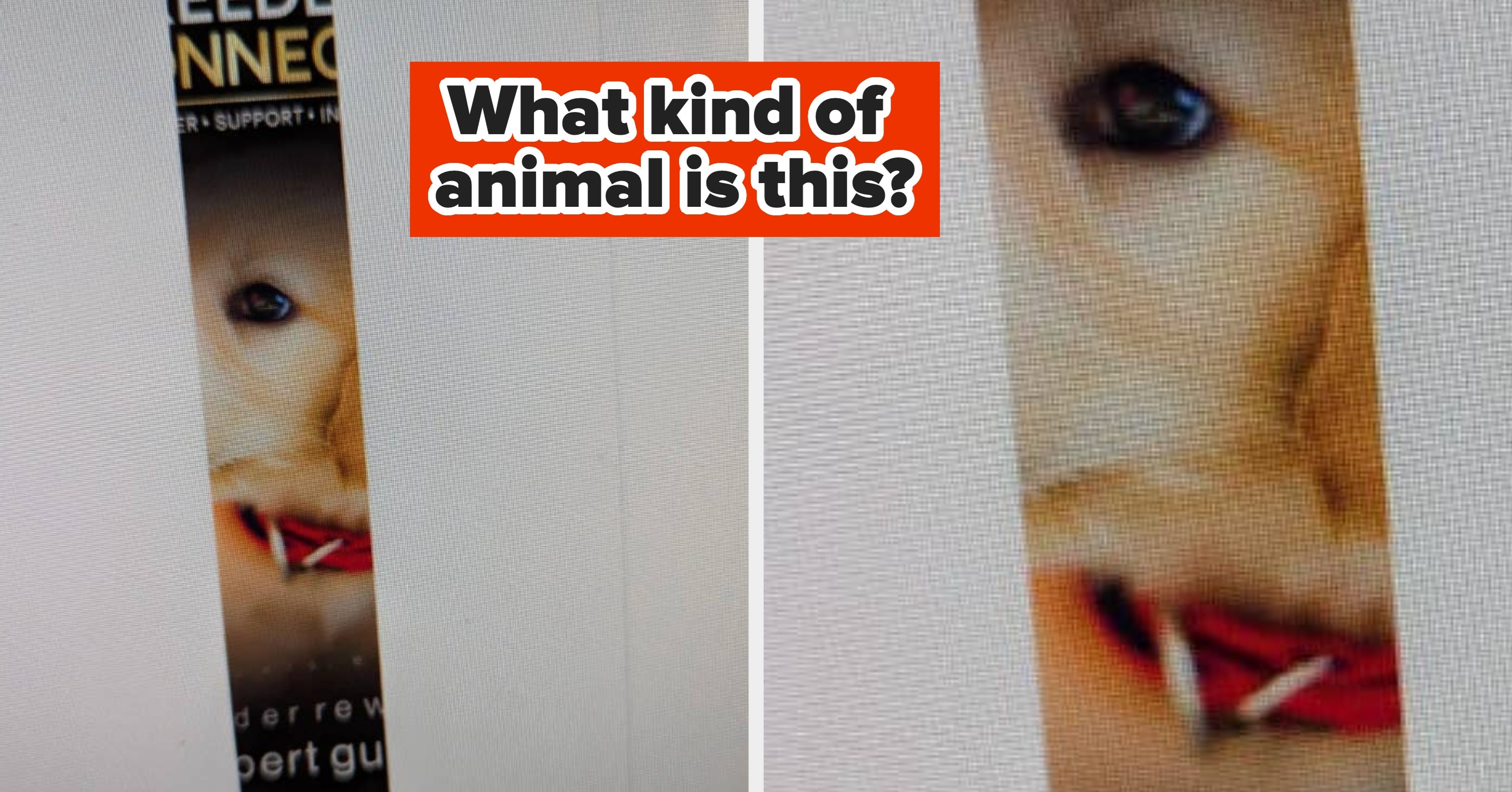 14 Images That Will Make You Feel Like A Complete Idiot Unless You're Actually A Secret Genius