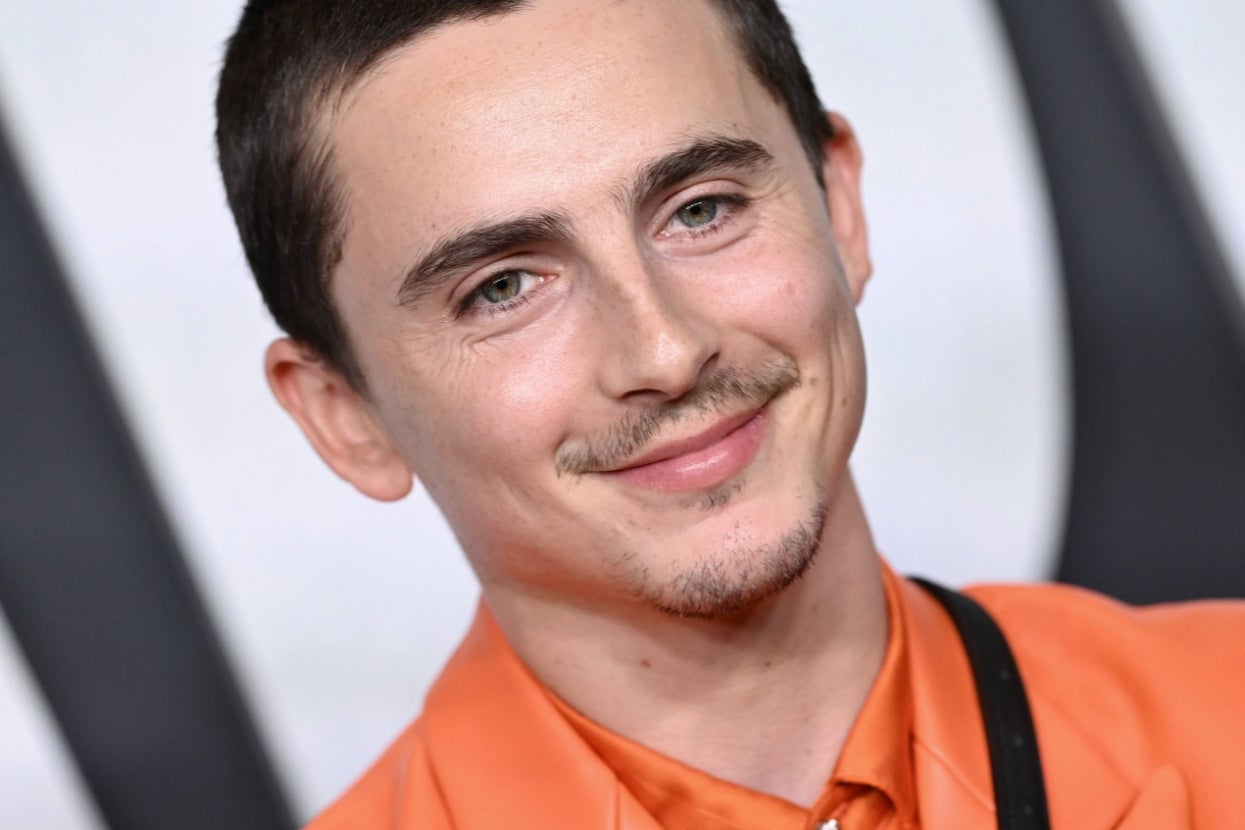 Timothée Chalamet Debunked Speculation That He's Moonlighting As A Masked UK Rapper Named EsDeeKid