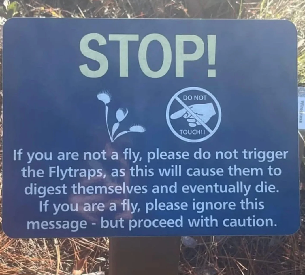 Sign informing  not to trigger flytraps unless you're a fly, arsenic  it whitethorn  pb  to the plant's death. Includes an illustration and a "Do Not Touch" symbol