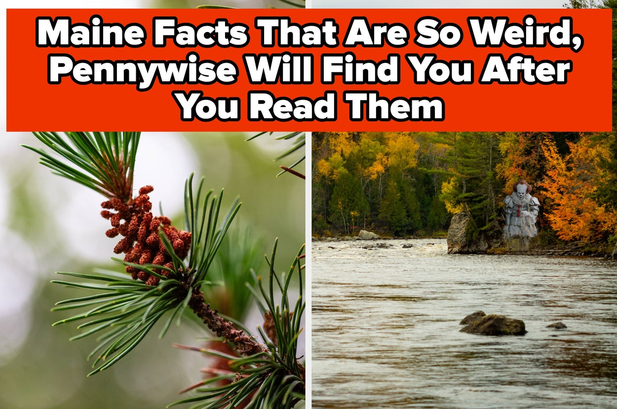 22 Bizarre Facts About Maine That Will Make You Spit Out Your Lobster Roll