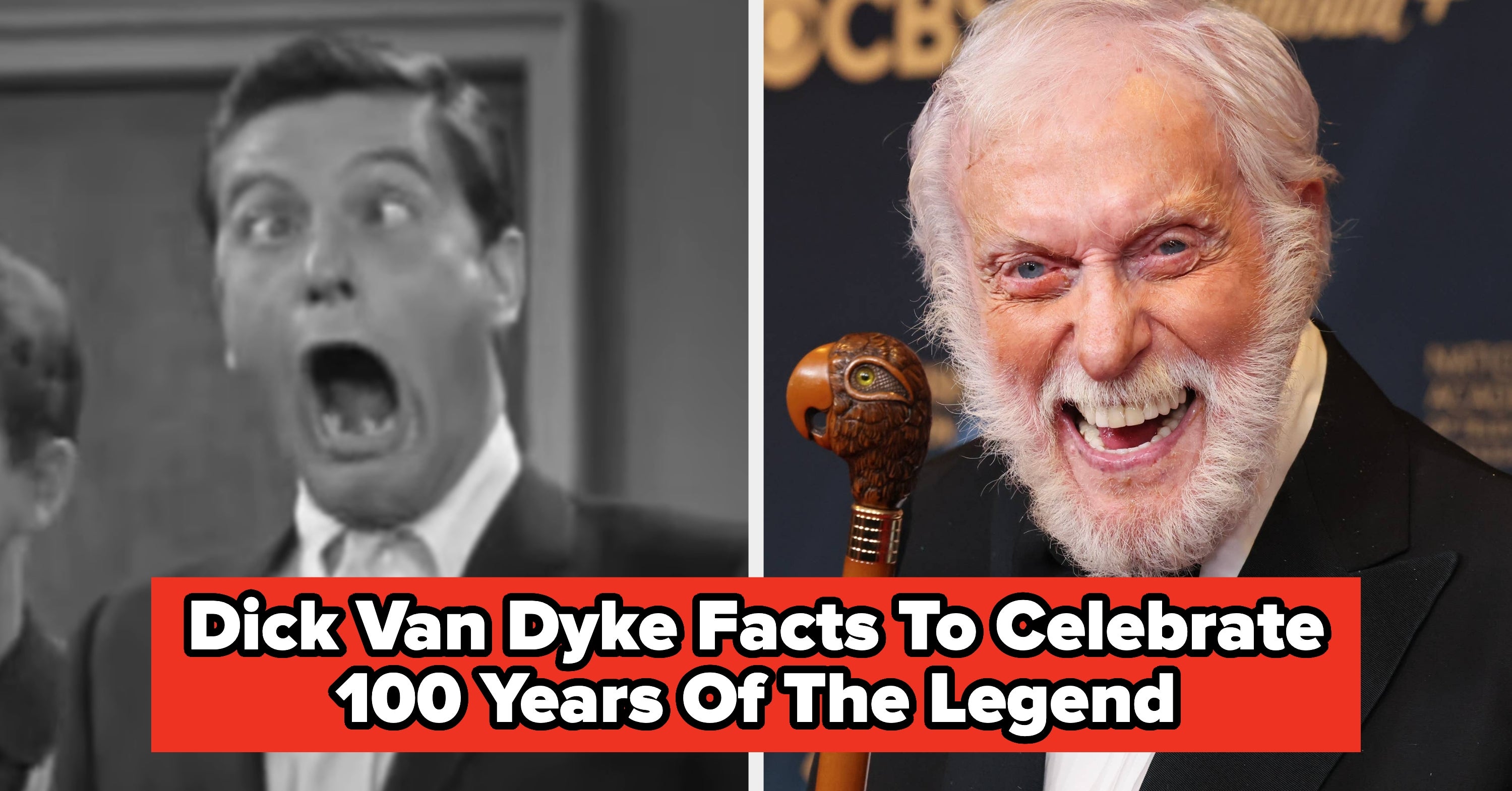 19 Jaw-Dropping Facts About Dick Van Dyke That Will Make You Excited To Turn 100