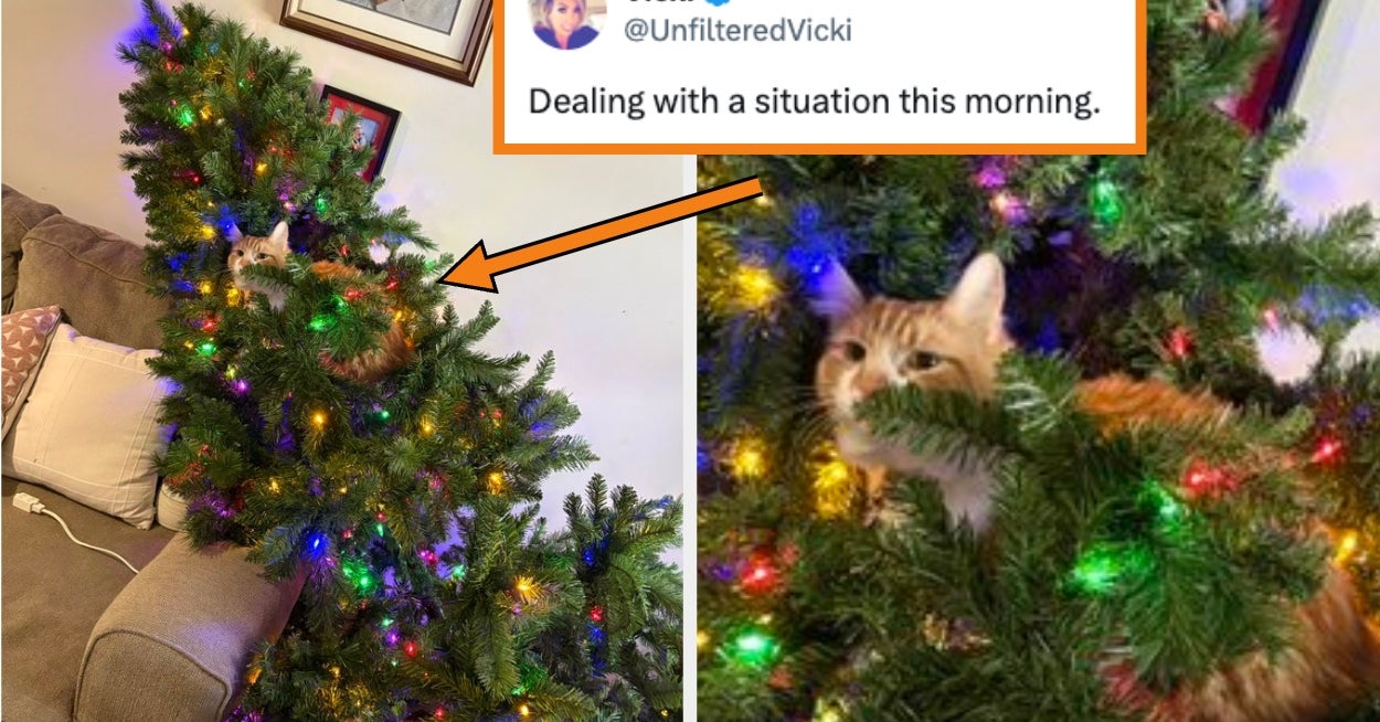 "I'm So F*cking Stupid": I'm Sorry, But I SERIOUSLY Cannot Stop Laughing At These 27 Hysterical Fails From Last Week