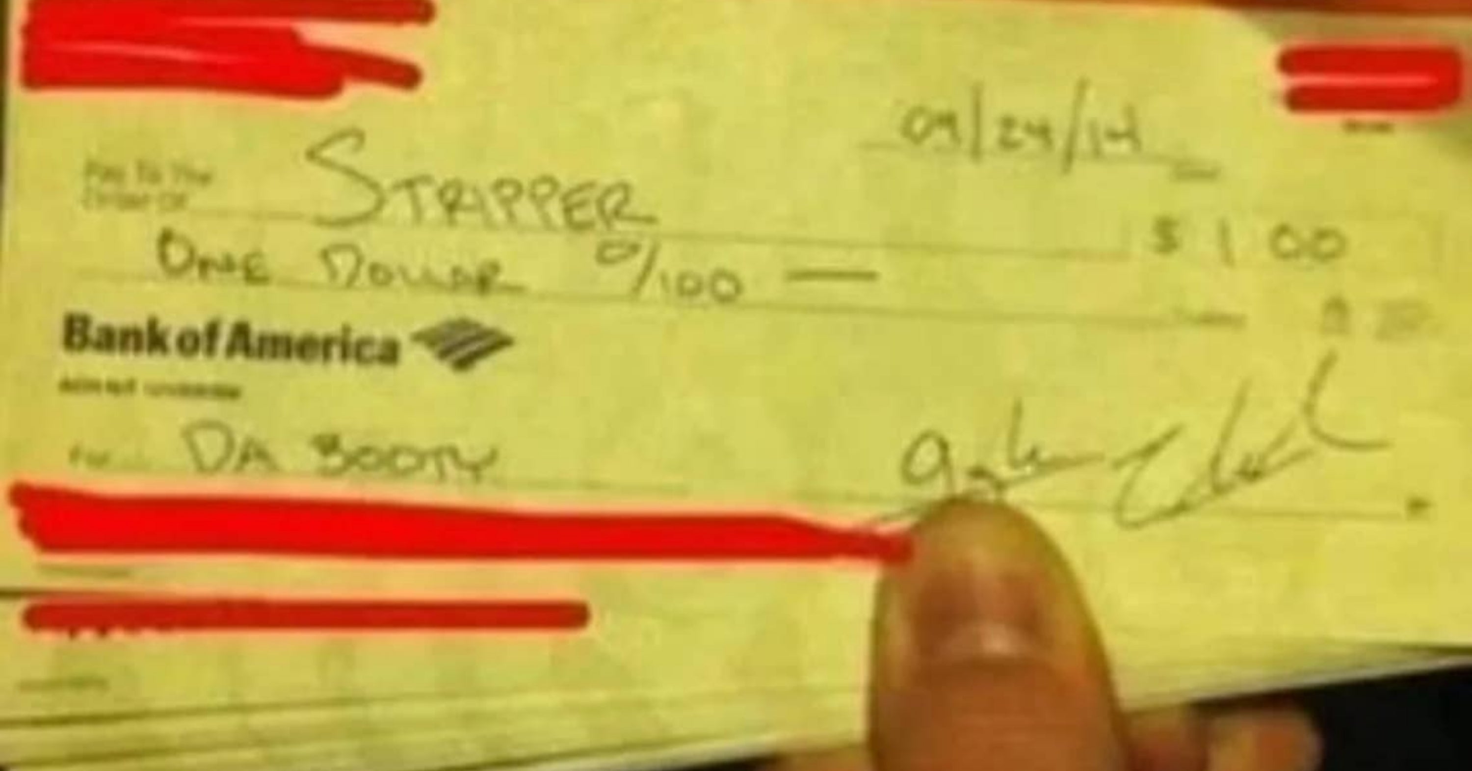 Internet Gems That Made Me Snort-Laugh So Hard My Cat Got Concerned