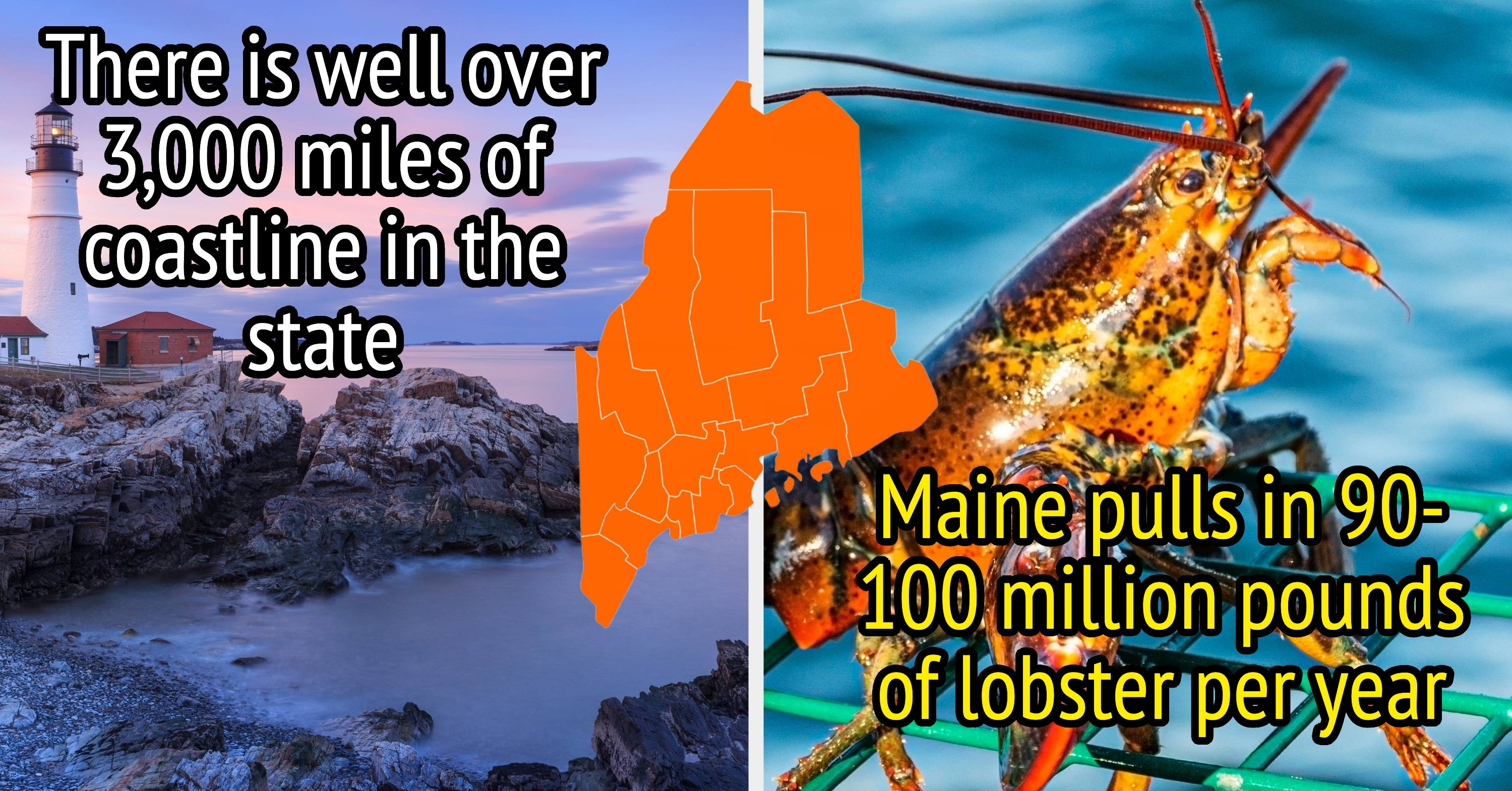 22 Mind-Blowing Maine Facts That Are So Wild I Am Ready To Fight A Moose