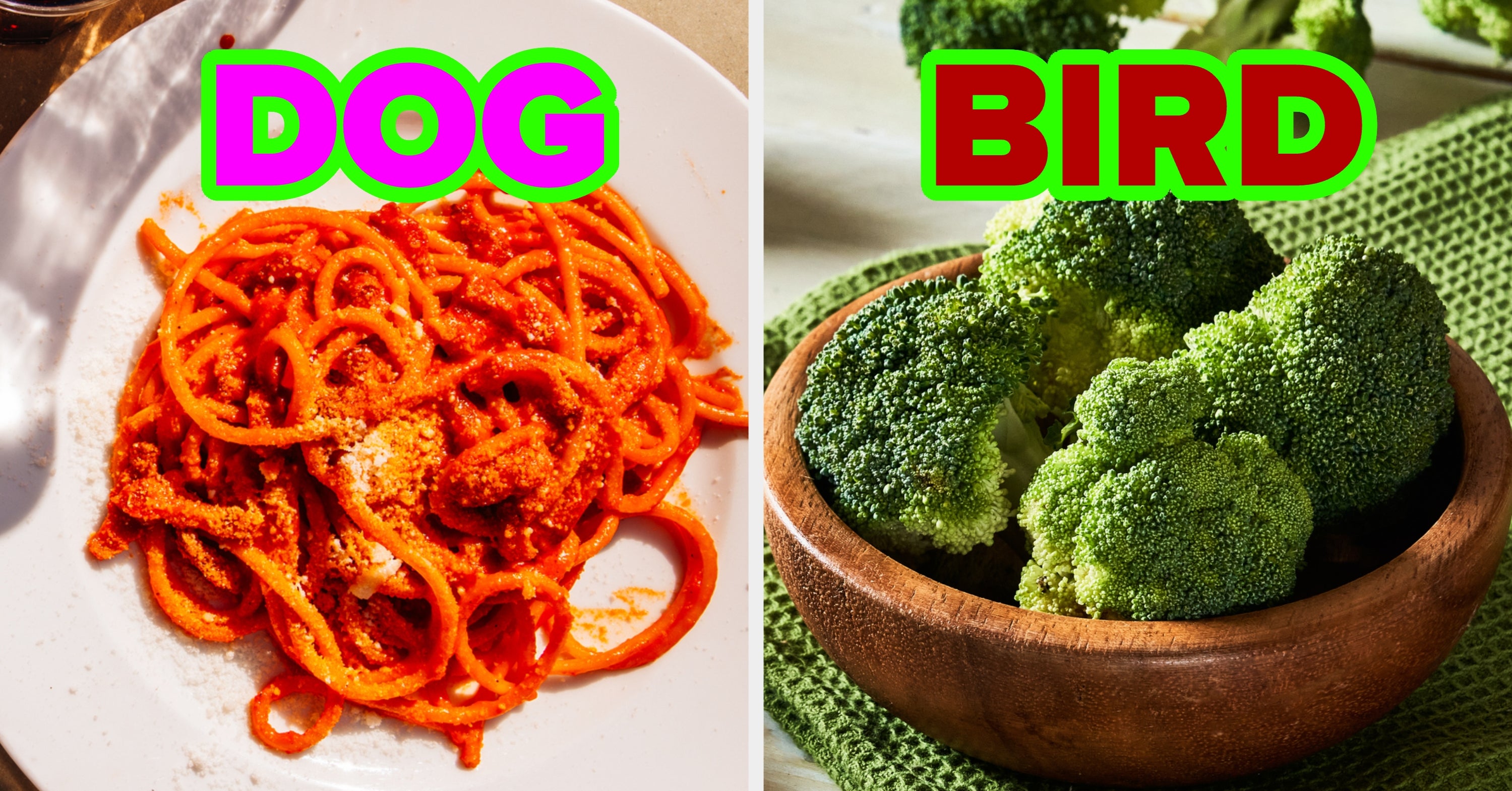 Eat A Huuuge Plate Of Food From Every Color And I'll Reveal Which Pet You Should Adopt