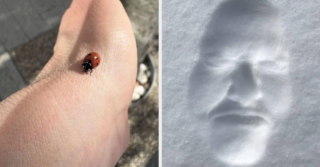 97 Photos So Utterly Baffling I'm Still Trying To Process Them, And Probably Will Be Until 2026