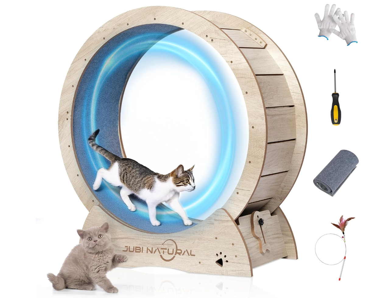 18 Best Cat Exercise Wheels Your Cat Will Love