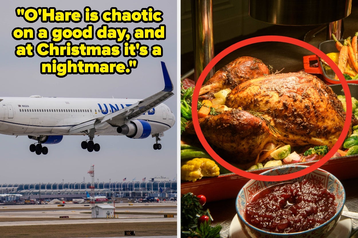 Airplane at O'Hare Airport; quote about chaos at Christmas. Roasted turkey and cranberry sauce on the right, implying holiday travel and meals