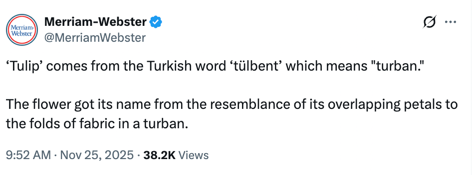 Tweet explaining the origin of the word "tulip," derived from Turkish "tülbent," meaning "turban," due to the flower's petal resemblance to a turban