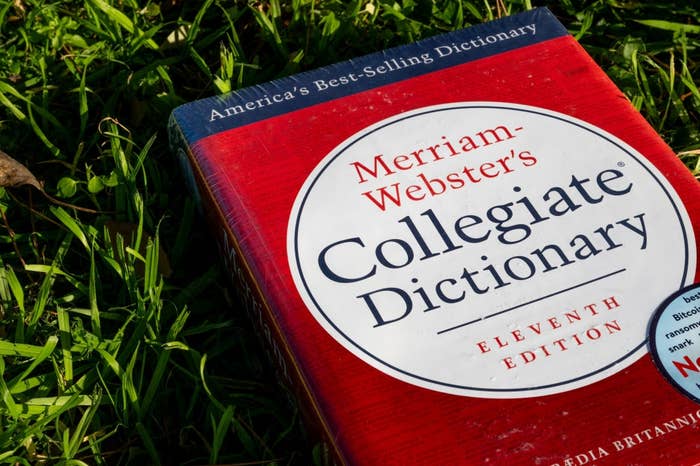 Merriam-Webster's Collegiate Dictionary, Eleventh Edition, lies on grass, displaying "America's Best-Selling Dictionary" on the cover