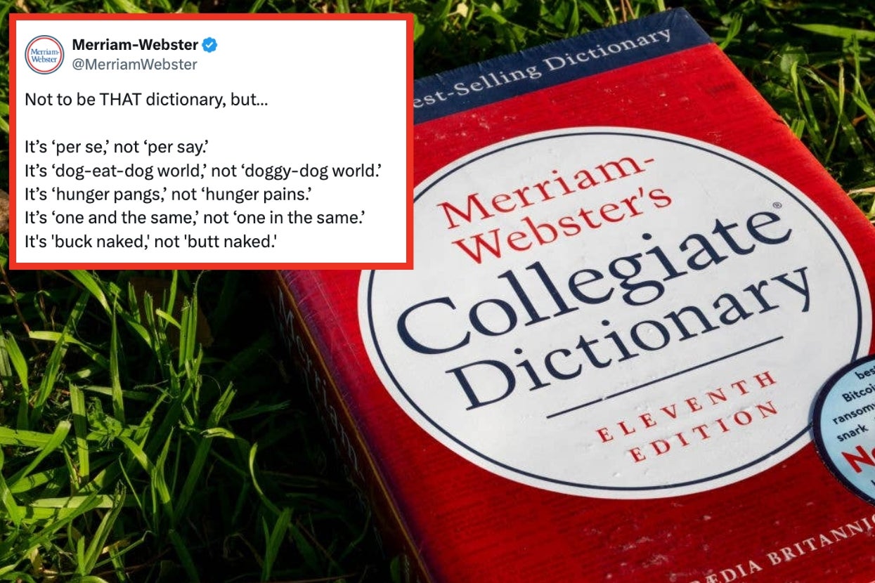 26 Fascinating Language Facts We Learned In 2025 That Have No Business Being Real
