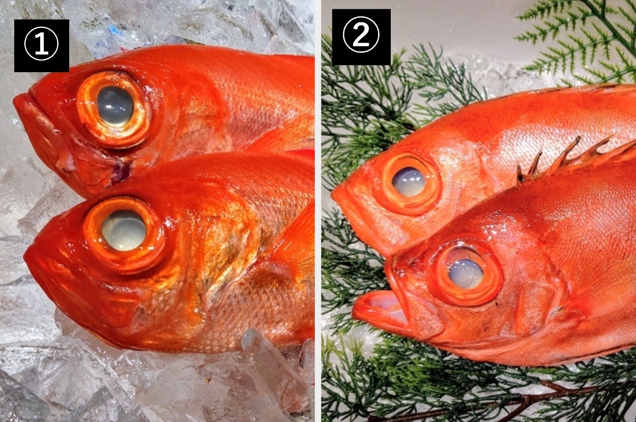 「魚クイズ」として紹介された2種類の魚の画像（農林水産省のXより）