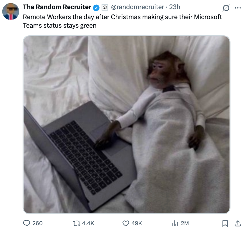 Monkey lies successful  furniture  nether  a blanket, utilizing a laptop