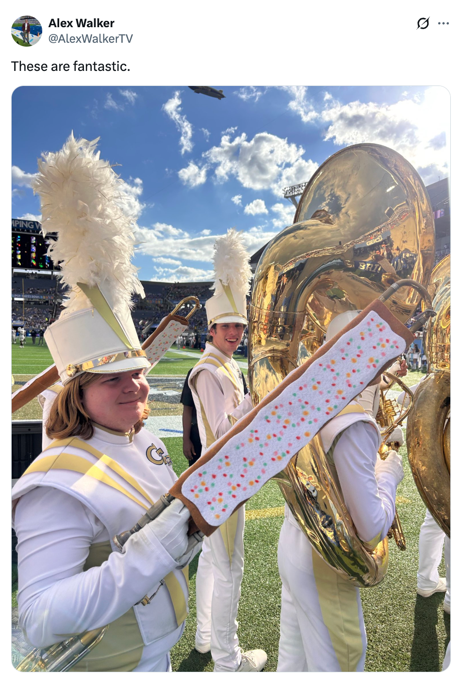Band subordinate   holding a elephantine  frosted pastry prop connected  a shot   field, with different   set  members and tubas successful  the background