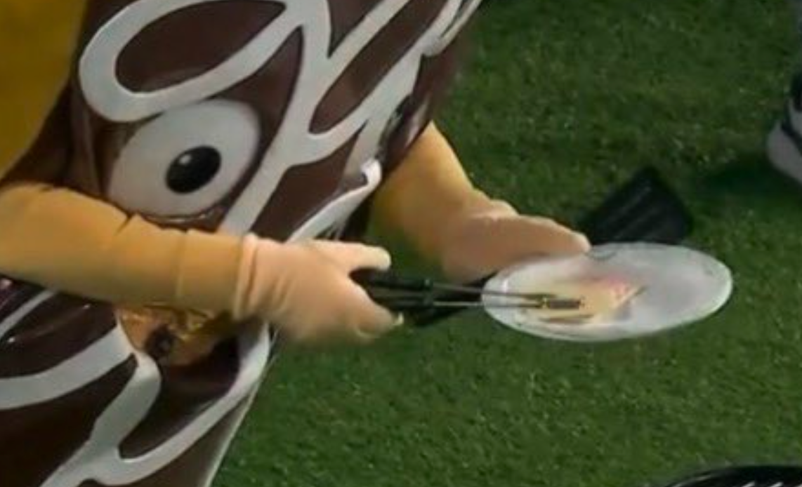 Person successful  costume holding tongs and a tiny  sheet  with nutrient  connected  a grassy surface