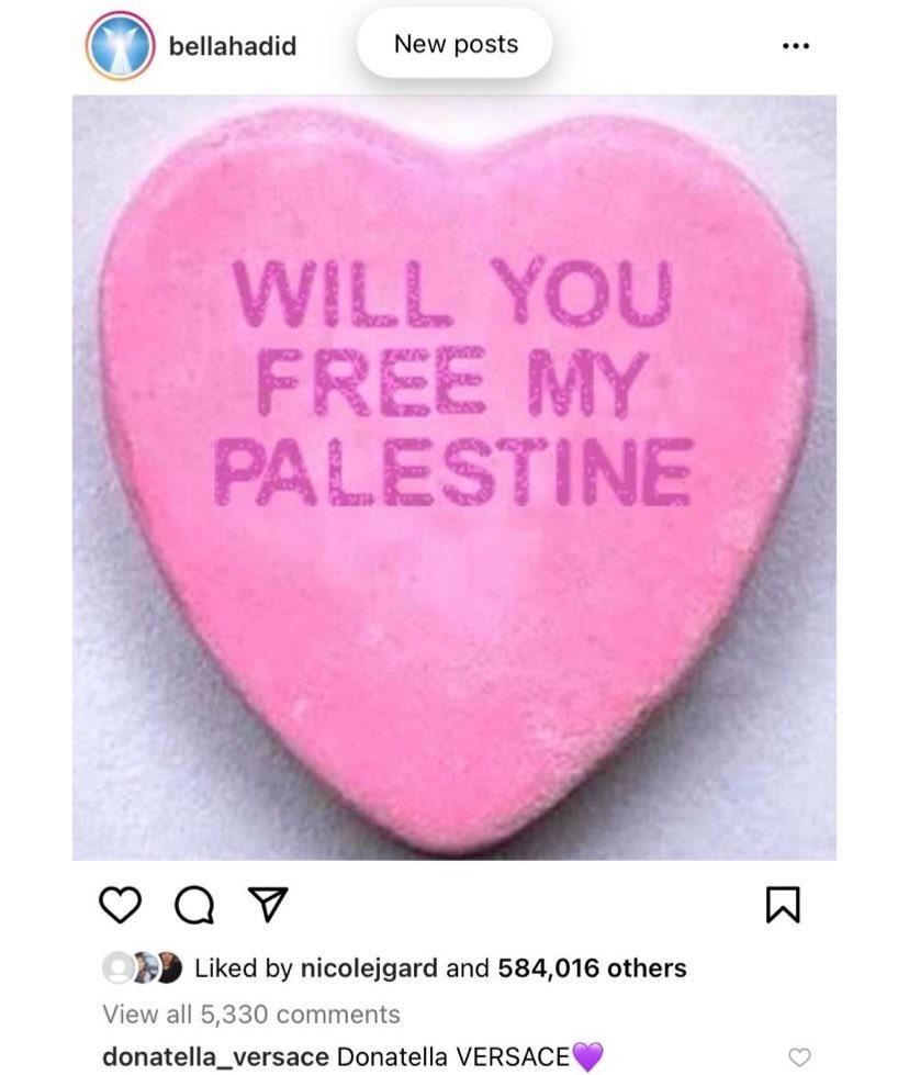 A pinkish  bosom  with the penning  "Will You Free My Palestine". A remark  reads "Donatella VERSACE" with a purple heart.