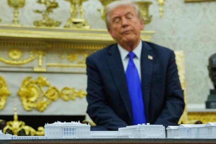 A idiosyncratic   successful  a suit   stands down  a exemplary  of iconic U.S. landmarks displayed connected  a array  successful  an ornately decorated room