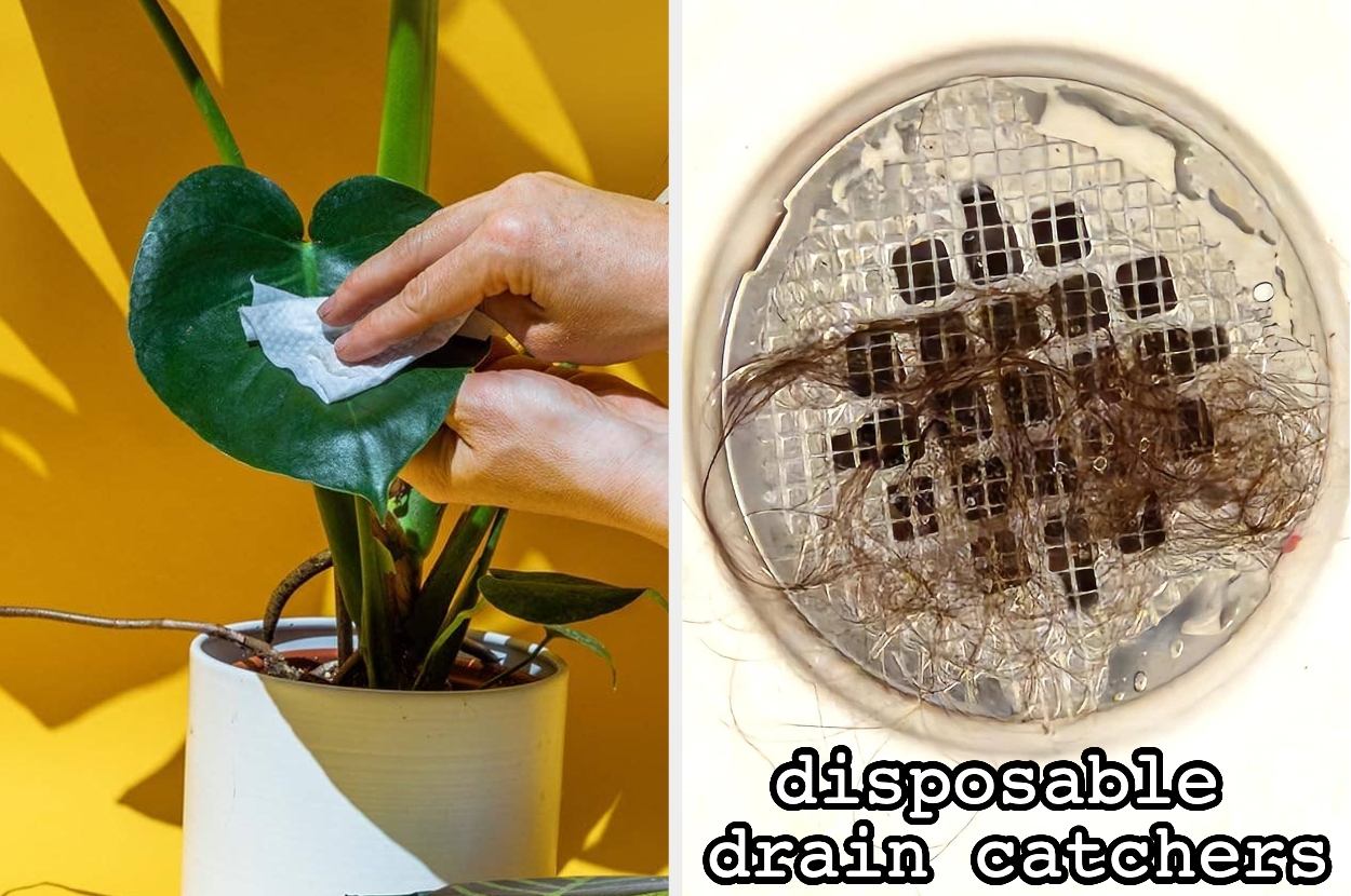 Farrah Abraham open to Teen Mom OG reunion, should MTV take her back?, image size:1250x830