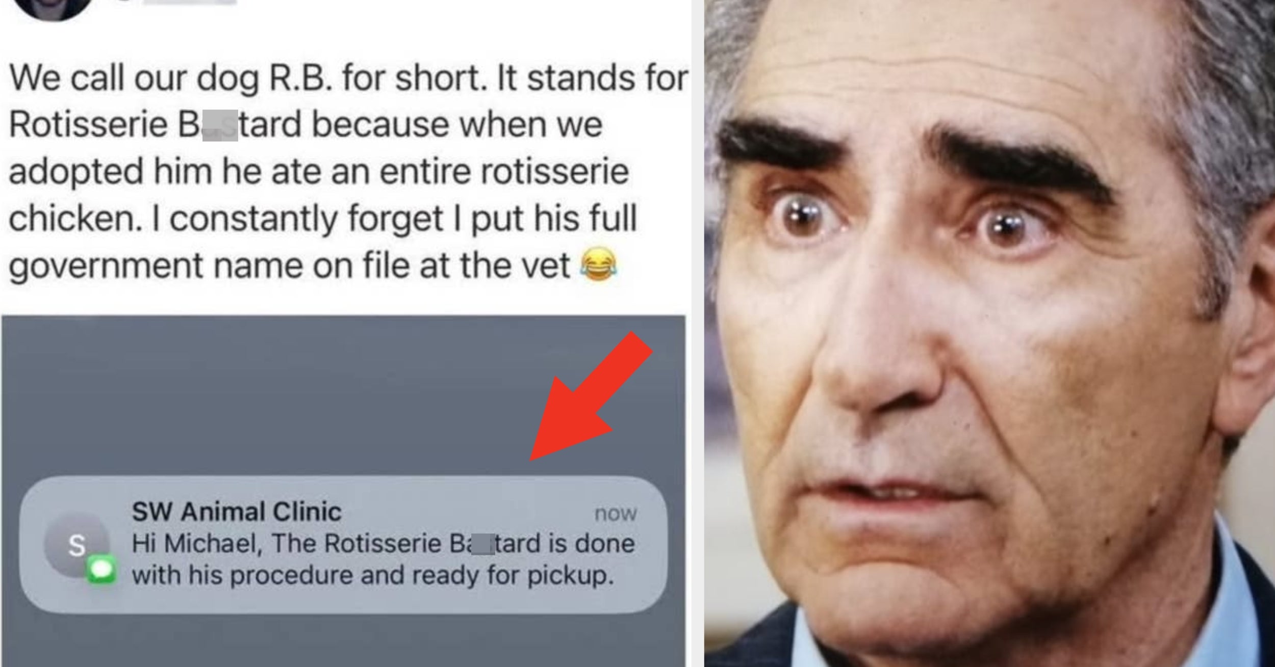 I’m Straight-Up Laughing My You-Know-What Off At These 33 Pictures That I'm Convinced Are IMPOSSIBLE To Keep A Straight Face At