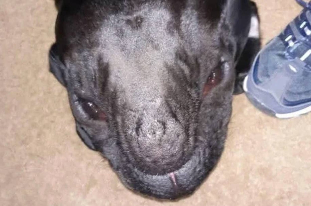 15 Bizarre Photos That Will Transport You To 2037