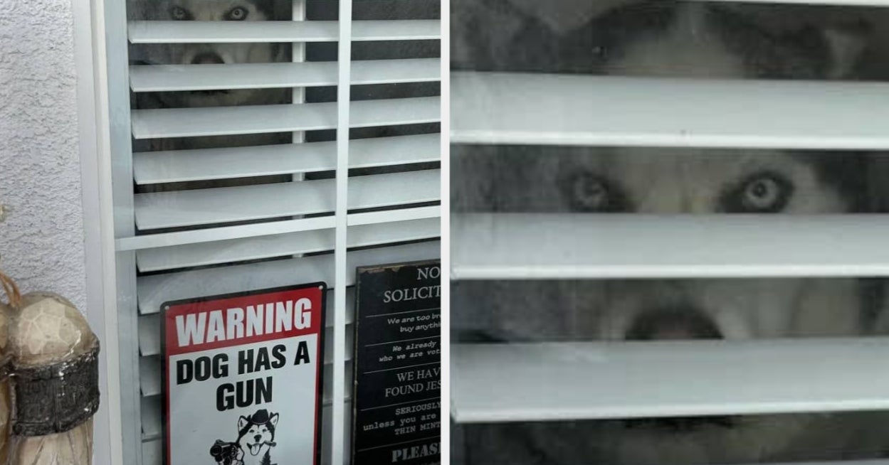 Start 2026 With A Laugh Because These 16 Funny Signs Are Too Good Not To Share