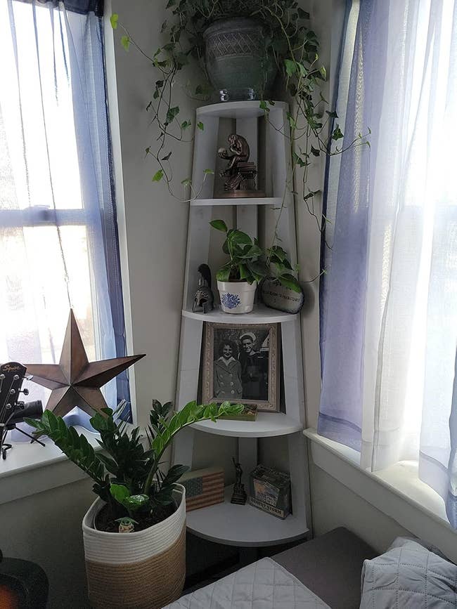 Corner support with plants, a framed vintage photo, decorative items, and a guitar nearby, creating a cozy, bohemian surviving space