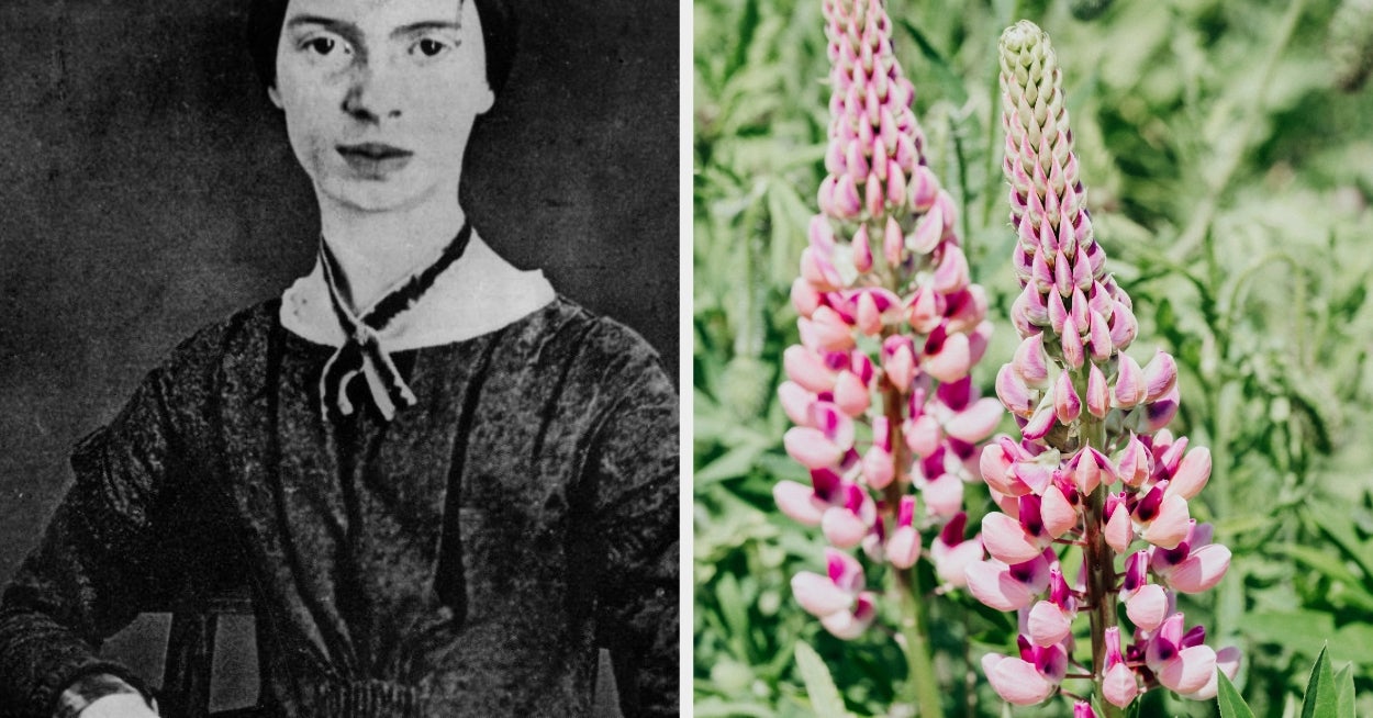 Design A Flower Bouquet To Find Out Which Emily Dickinson Poem You Are