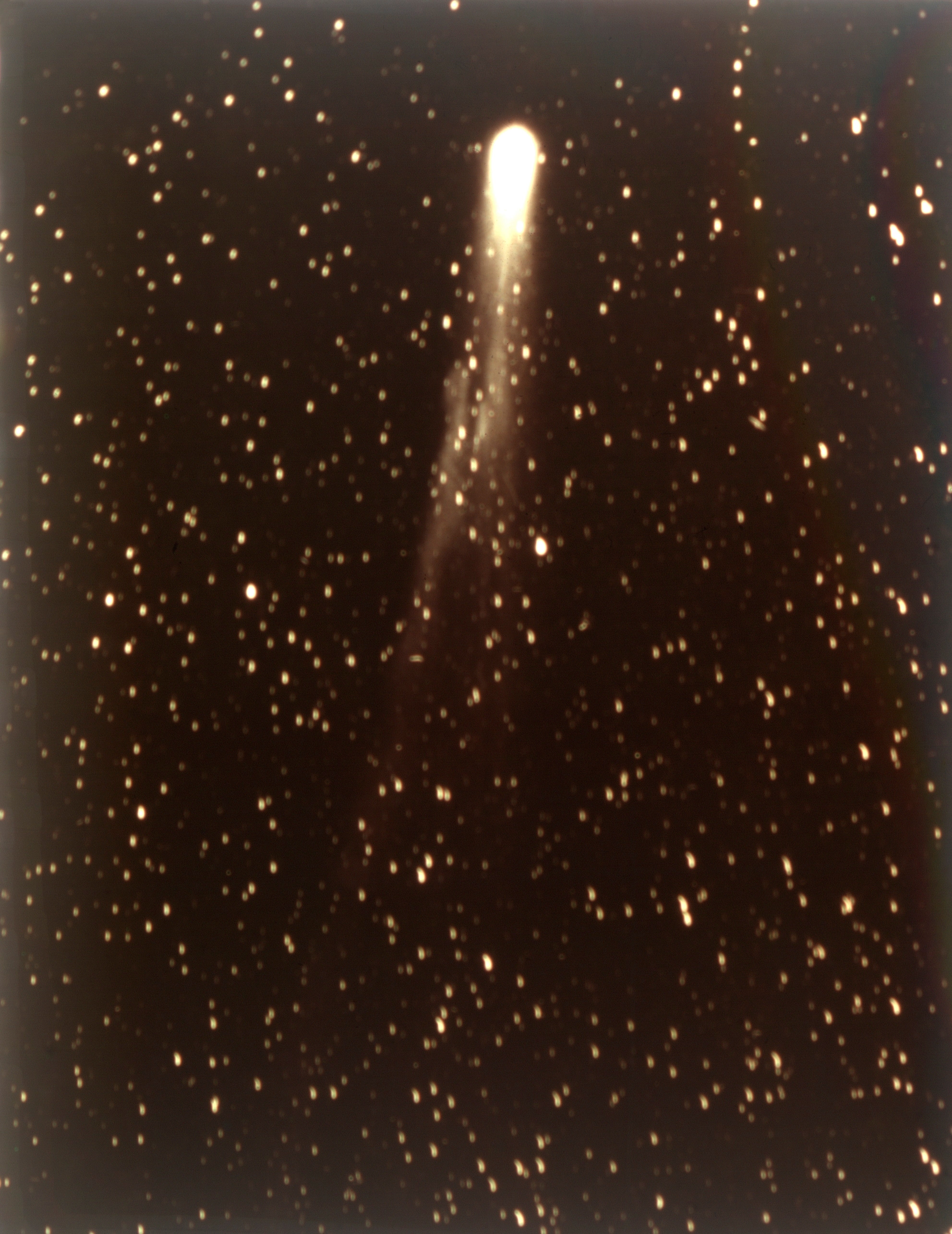 A agleam  comet with a agelong  glowing process    travels done  a star-filled nighttime  sky