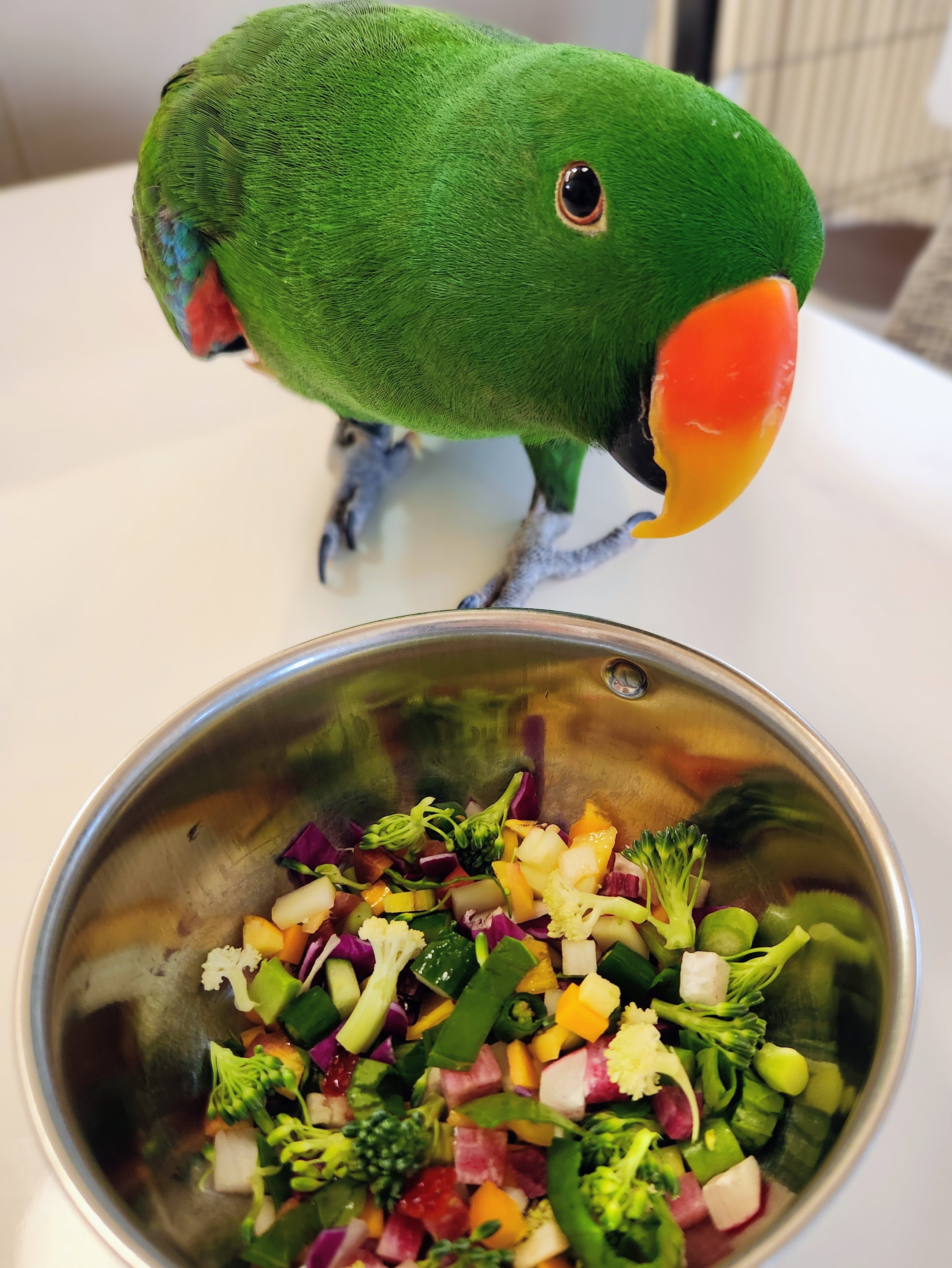 とある日のお昼ごはん（ゴンさんのXアカウントより）