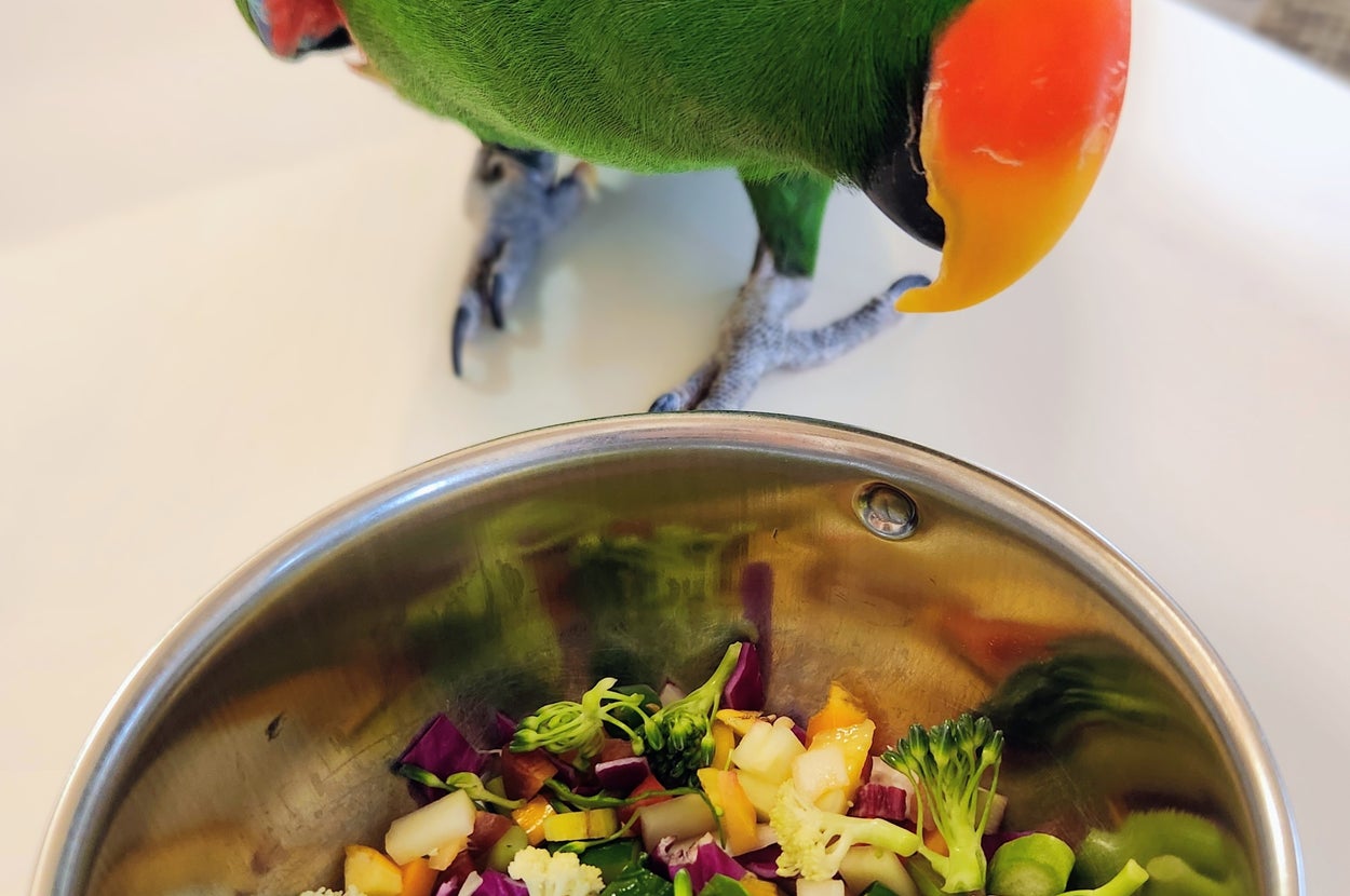 とある日のお昼ごはん（ゴンさんのXアカウントより）